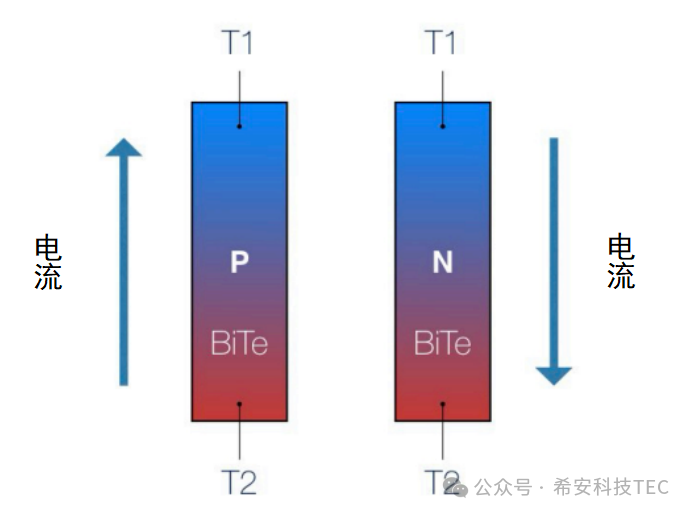 TEC कसे कार्य करते?
